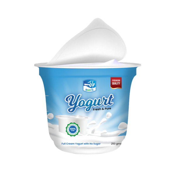Yogurt - 1 Kg